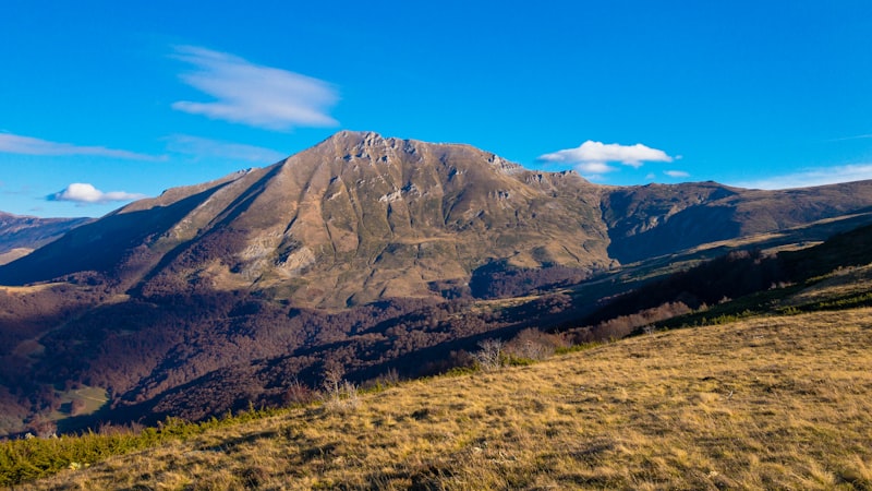 Peaks & Trails